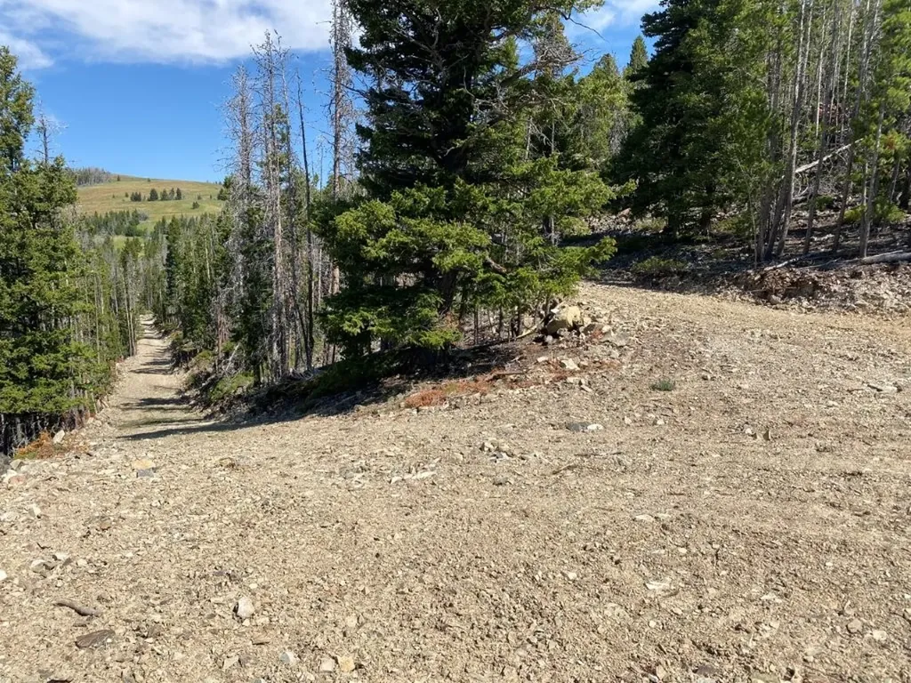 Tbd Indian Creek Road Townsend MT 59644