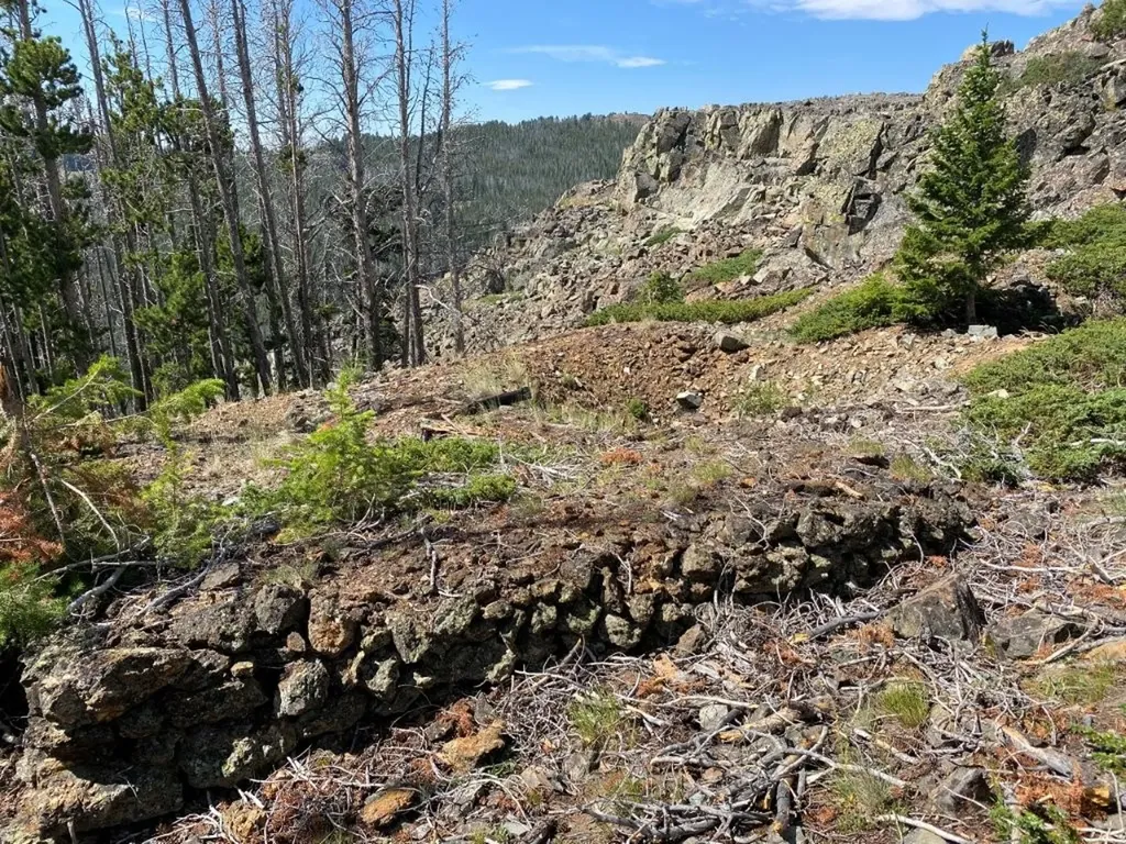 Tbd Indian Creek Road Townsend MT 59644