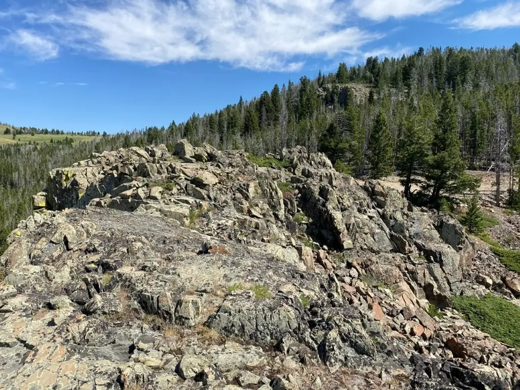 Tbd Indian Creek Road Townsend MT 59644