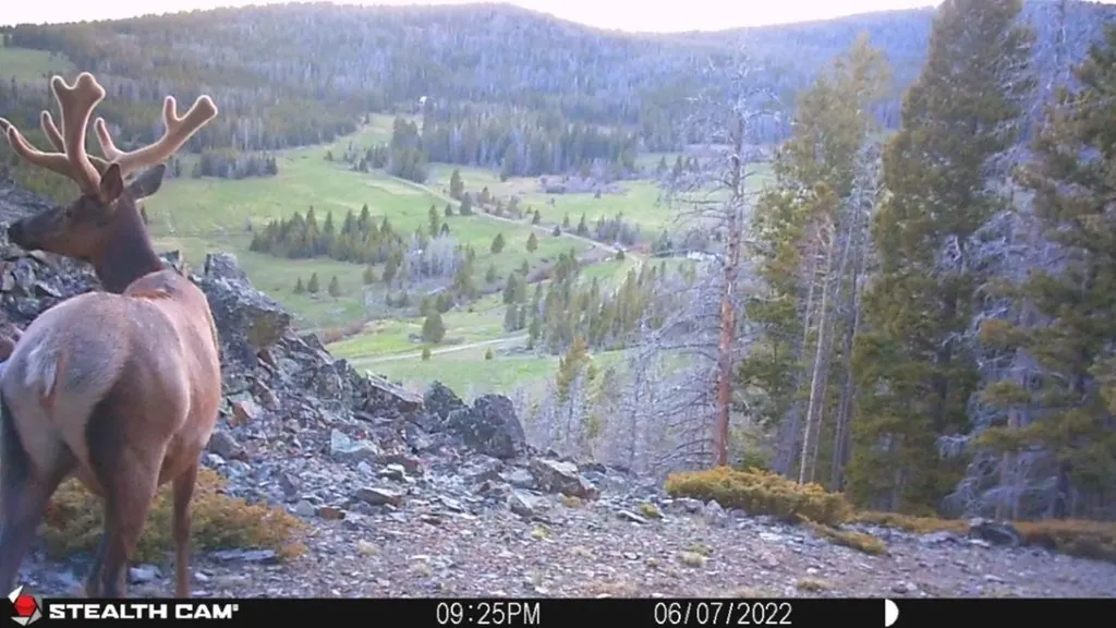 Tbd Indian Creek Road Townsend MT 59644