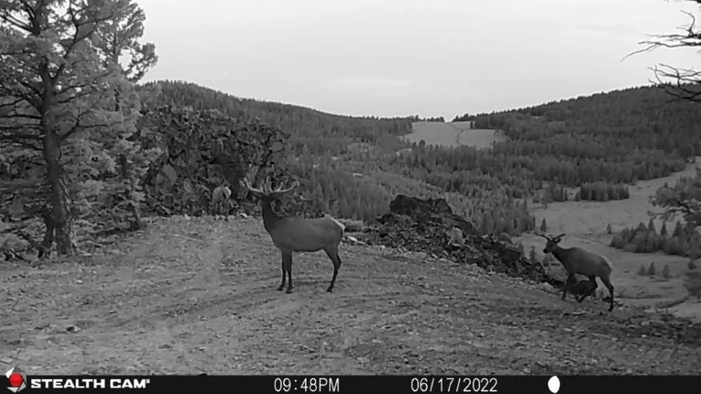 Tbd Indian Creek Road Townsend MT 59644
