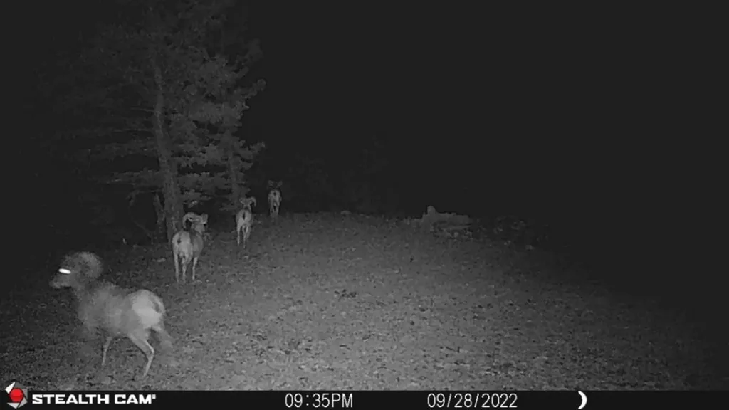 Tbd Indian Creek Road Townsend MT 59644