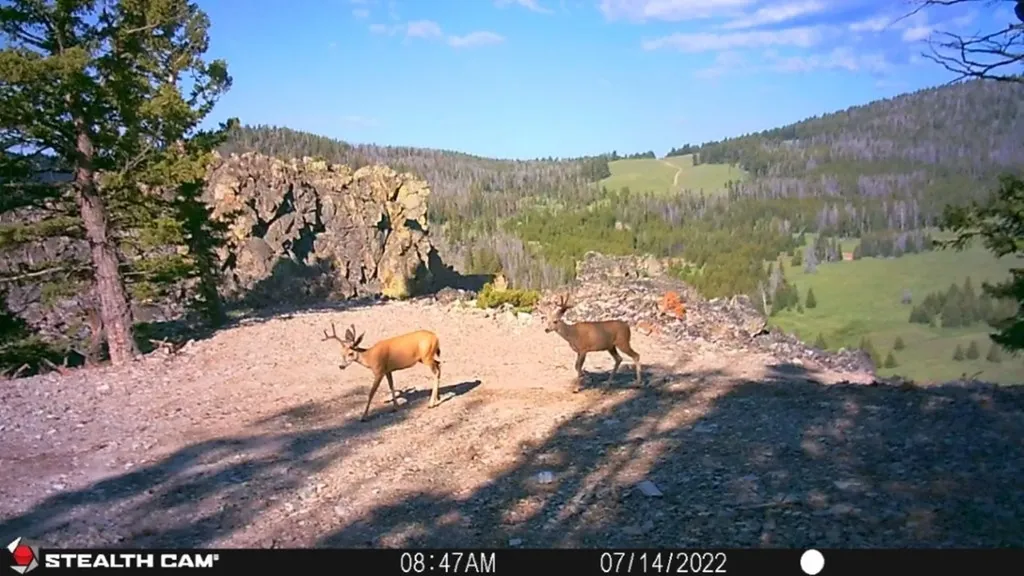 Tbd Indian Creek Road Townsend MT 59644
