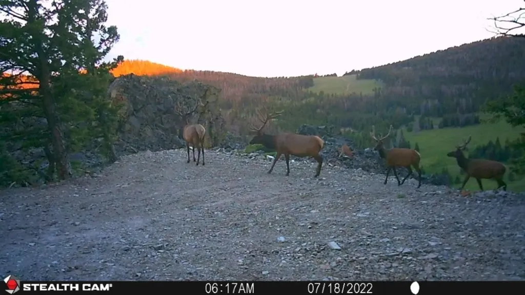 Tbd Indian Creek Road Townsend MT 59644