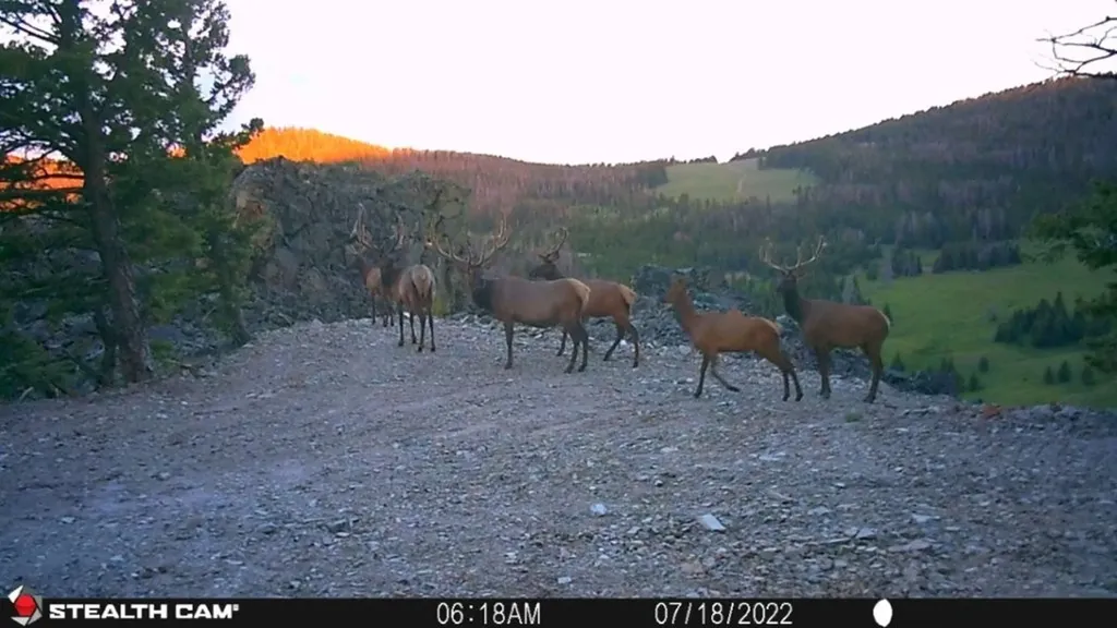 Tbd Indian Creek Road Townsend MT 59644