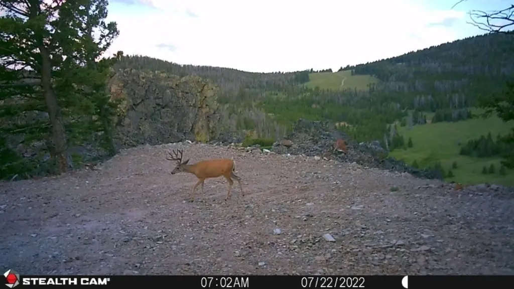 Tbd Indian Creek Road Townsend MT 59644