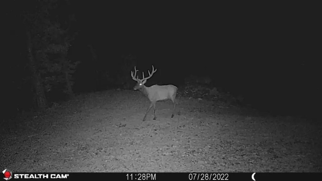 Tbd Indian Creek Road Townsend MT 59644