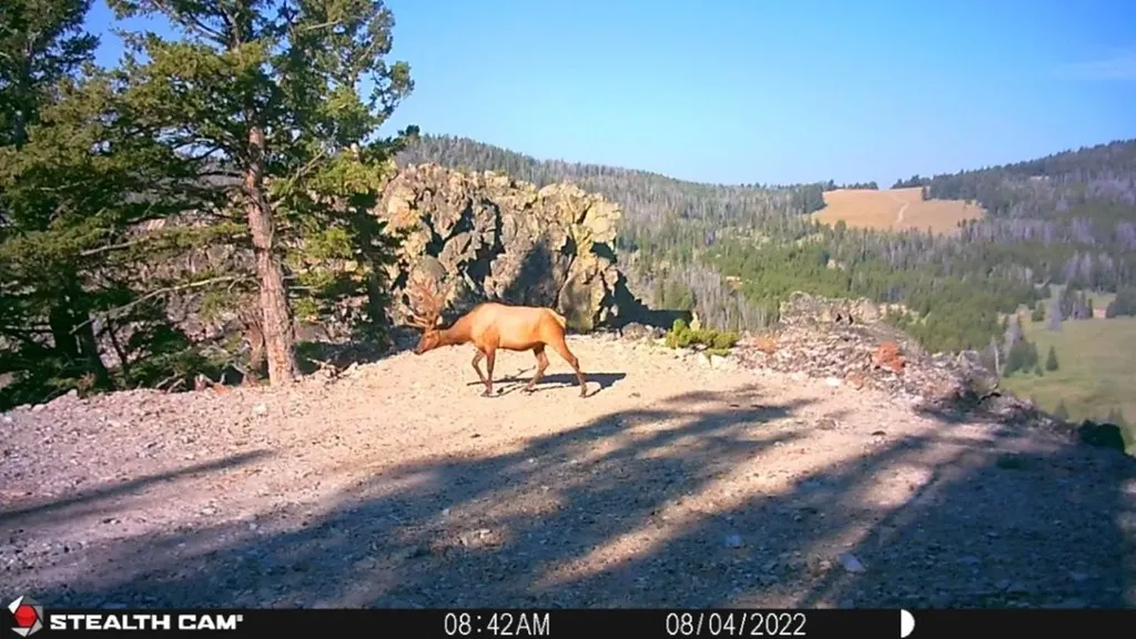 Tbd Indian Creek Road Townsend MT 59644