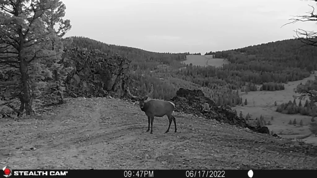 Tbd Indian Creek Road Townsend MT 59644