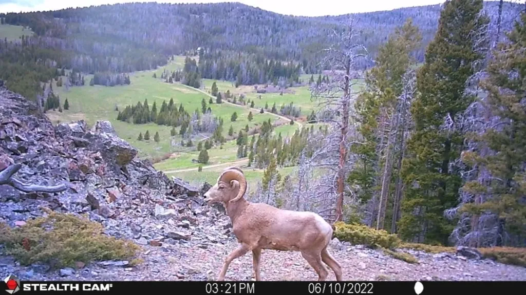 Tbd Indian Creek Road Townsend MT 59644