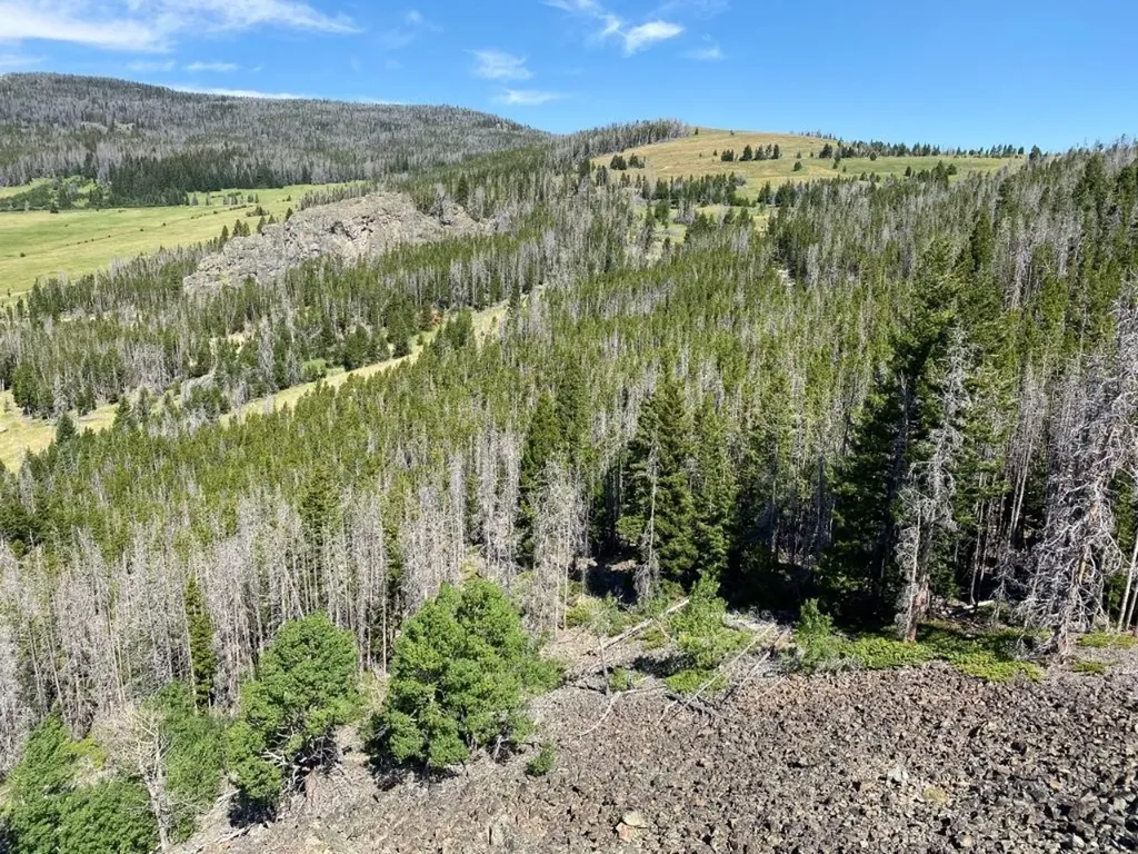 Tbd Indian Creek Road Townsend MT 59644