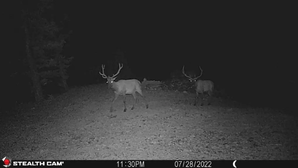 Tbd Indian Creek Road Townsend MT 59644