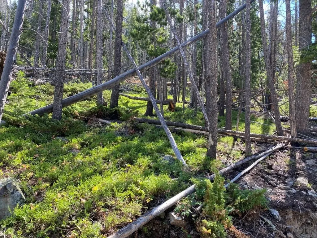 Tbd Indian Creek Road Townsend MT 59644