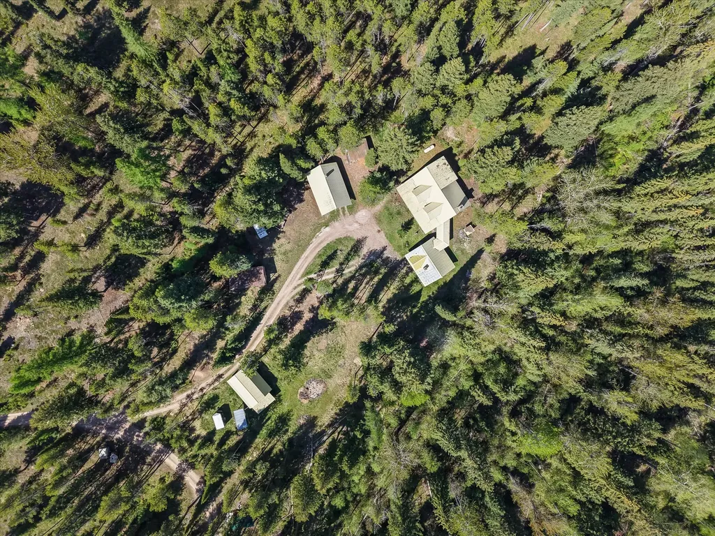 566 Remicks Road Condon MT 59826