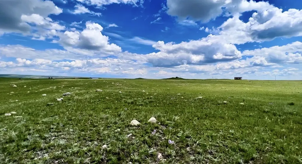 Lot 216 S Tamarack Drive Augusta MT 59410