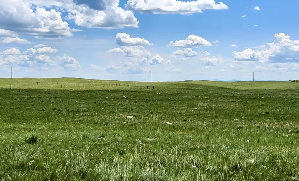 Lot 216 S Tamarack Drive Augusta MT 59410
