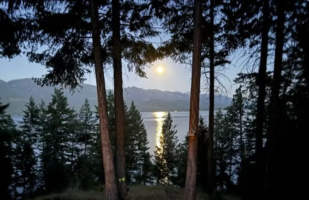 29696 Swallows Lane Polson MT 59860
