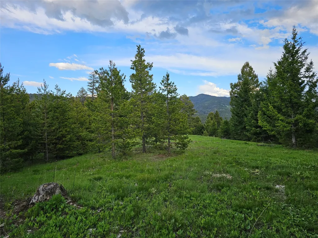 Nhn Hematite Road Gold Creek MT 59733