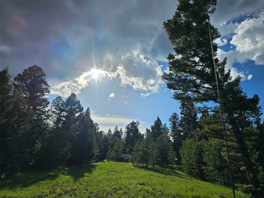 Nhn Hematite Road Gold Creek MT 59733