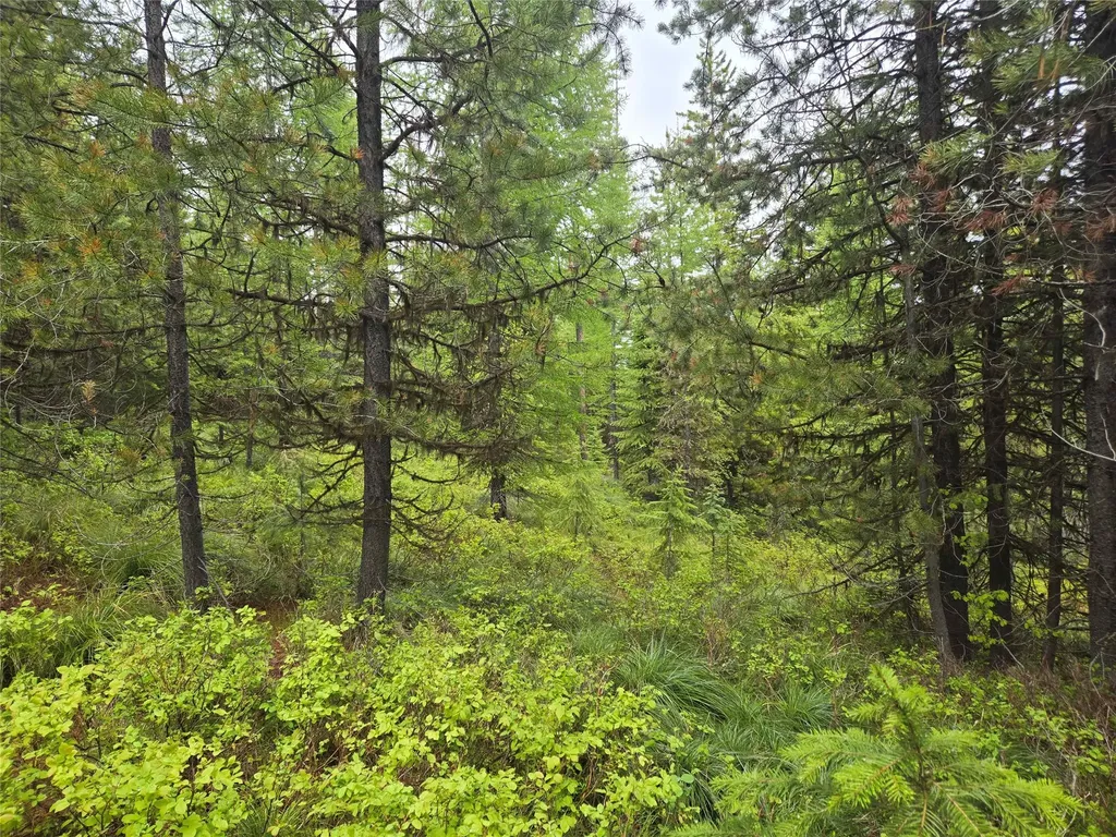 Tract 20 Nine Mile Road Huson MT 59846