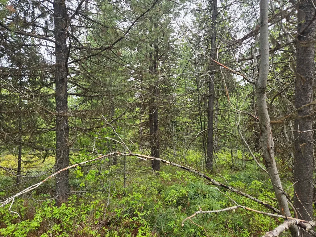 Tract 20 Nine Mile Road Huson MT 59846