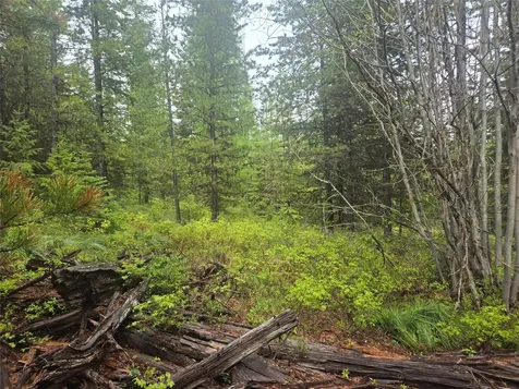 Tract 20 Nine Mile Road Huson MT 59846