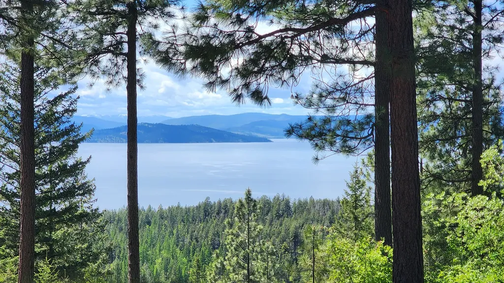 31683 Lake To Sky Drive Bigfork MT 59911
