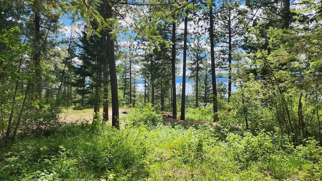 31683 Lake To Sky Drive Bigfork MT 59911