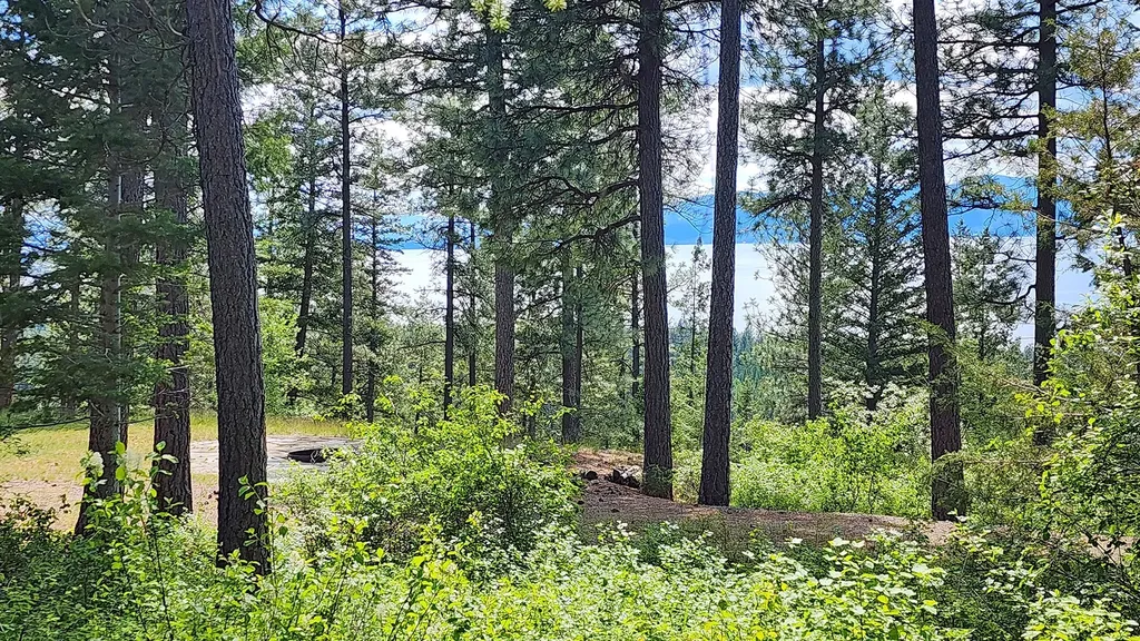 31683 Lake To Sky Drive Bigfork MT 59911