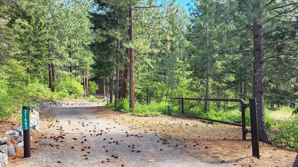 31683 Lake To Sky Drive Bigfork MT 59911