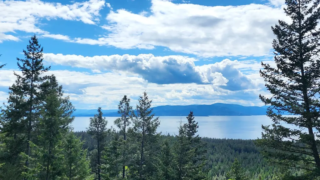 31683 Lake To Sky Drive Bigfork MT 59911