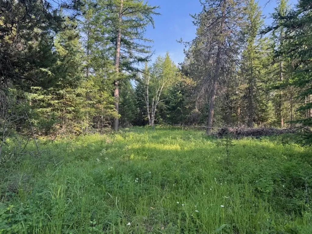 571 Armory Road Whitefish MT 59937