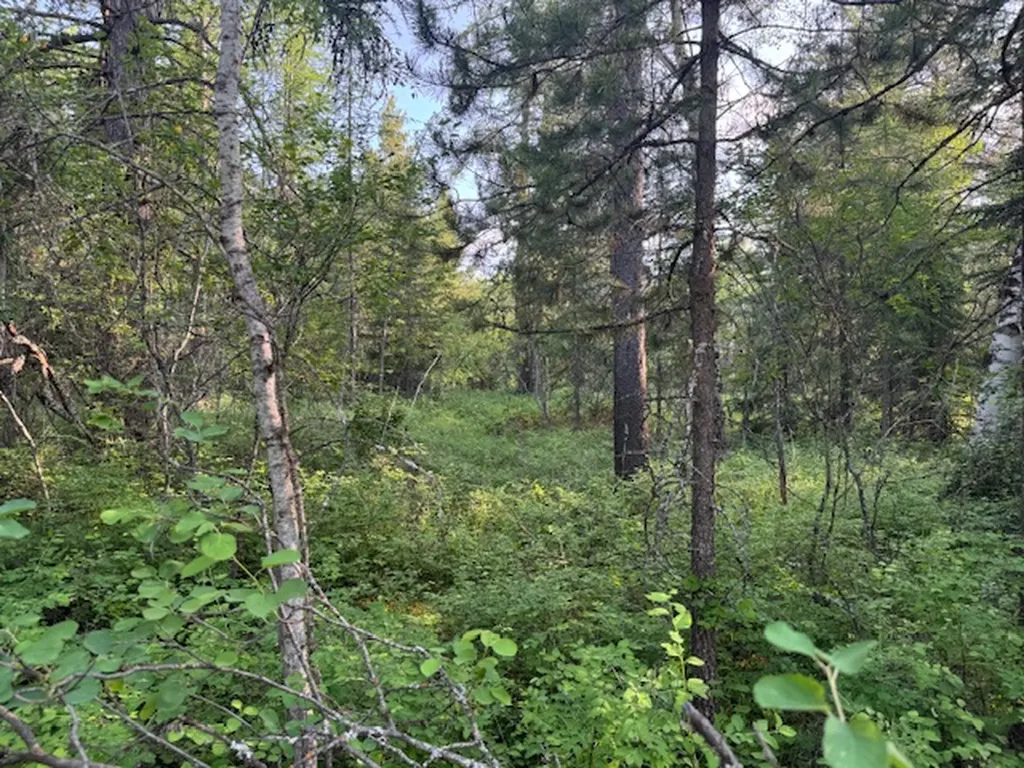 571 Armory Road Whitefish MT 59937