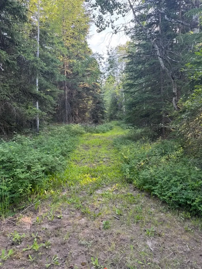 571 Armory Road Whitefish MT 59937