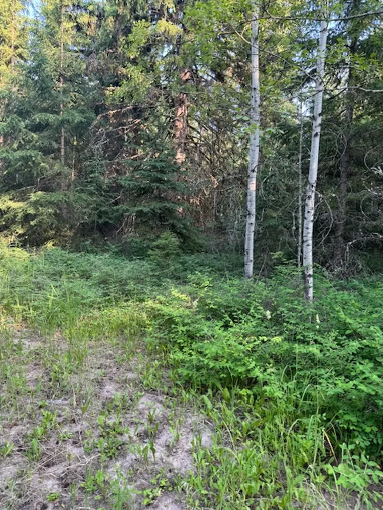 571 Armory Road Whitefish MT 59937