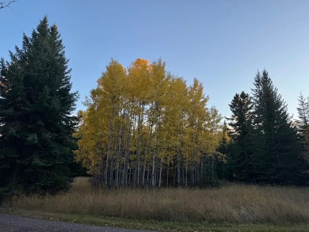 571 Armory Road Whitefish MT 59937