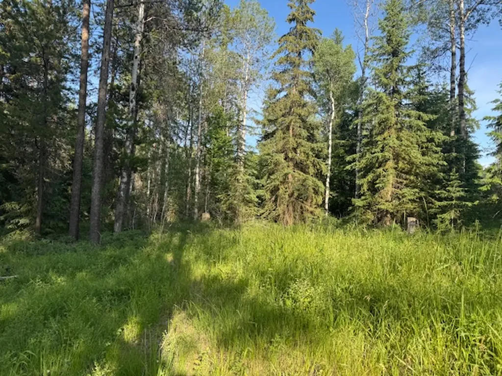 571 Armory Road Whitefish MT 59937