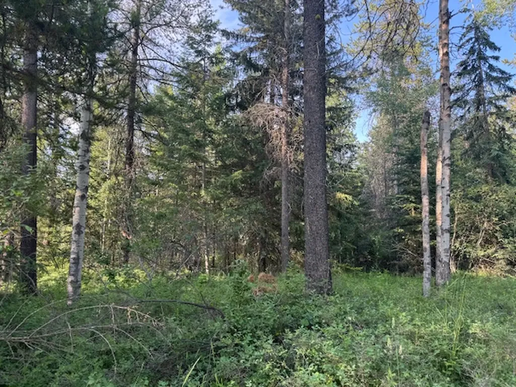 571 Armory Road Whitefish MT 59937