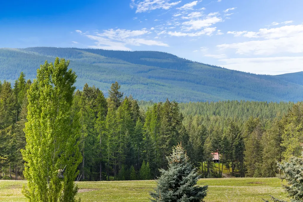 49 Whitetail Drive Rexford MT 59930