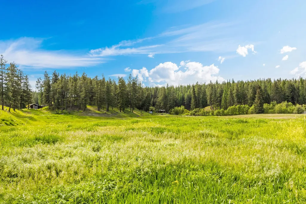49 Whitetail Drive Rexford MT 59930