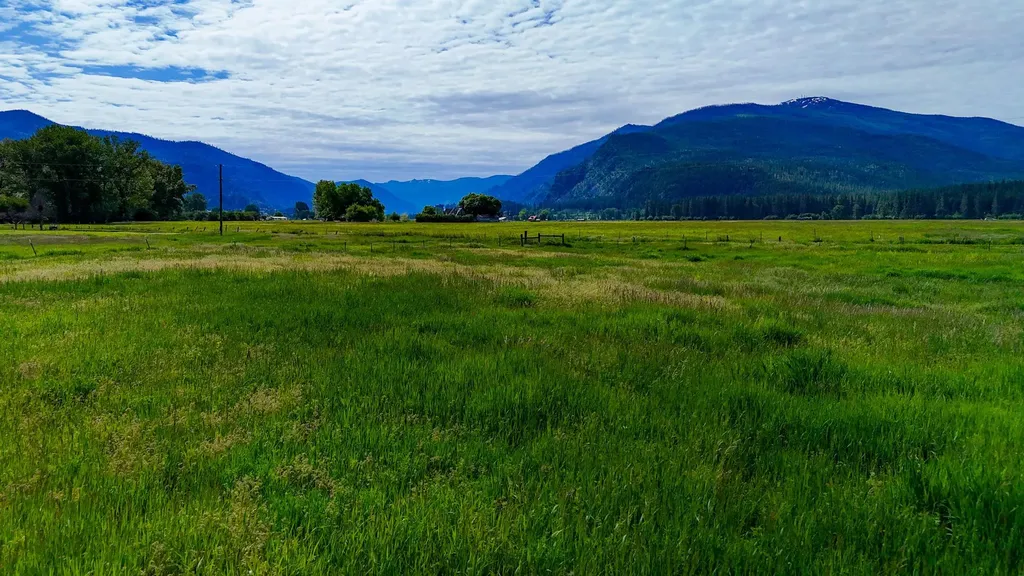 29 River Road W Plains MT 59859