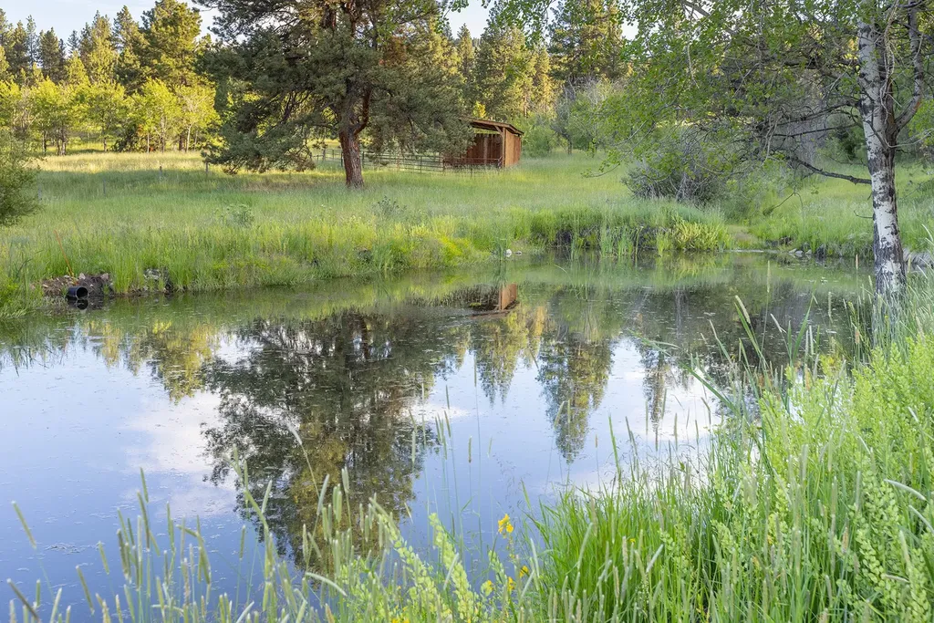 587 Cozy Lane Helmville MT 59843