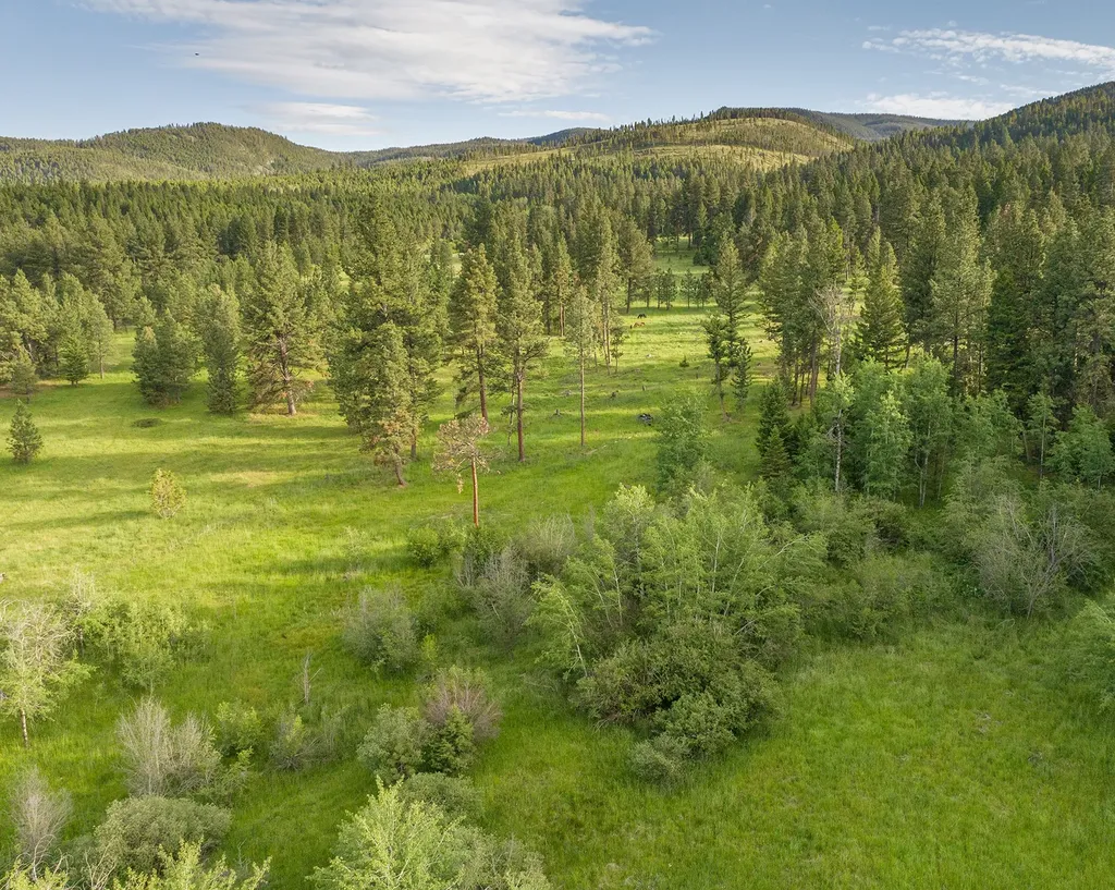 587 Cozy Lane Helmville MT 59843