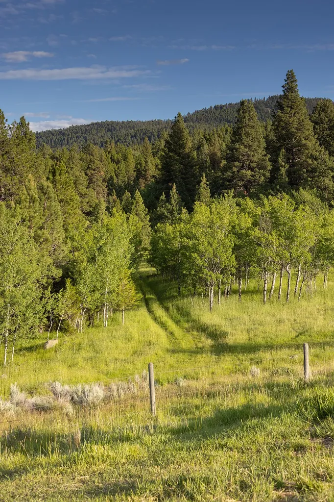 587 Cozy Lane Helmville MT 59843