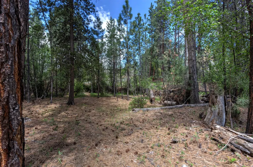 278 Silverbow Drive Victor MT 59875