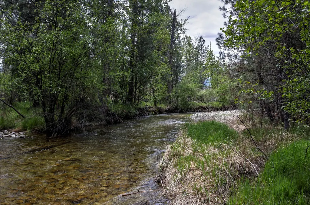 278 Silverbow Drive Victor MT 59875