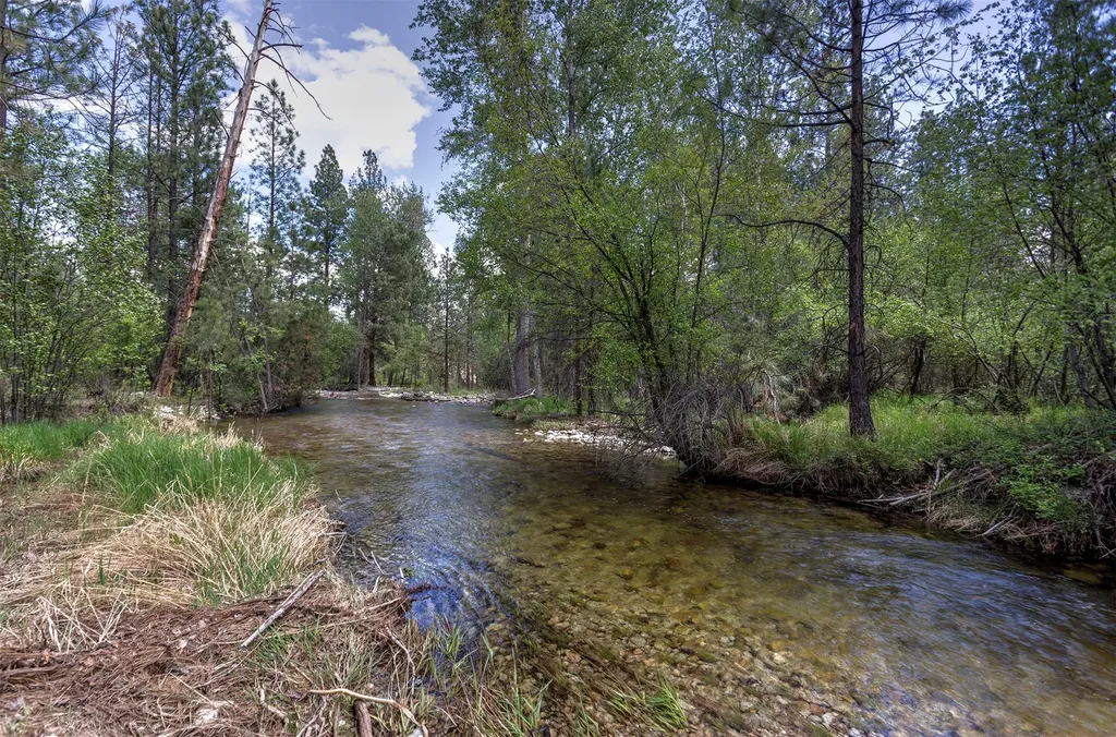 278 Silverbow Drive Victor MT 59875