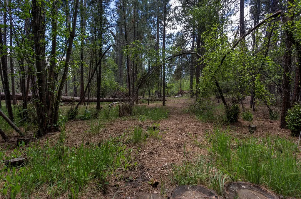 278 Silverbow Drive Victor MT 59875