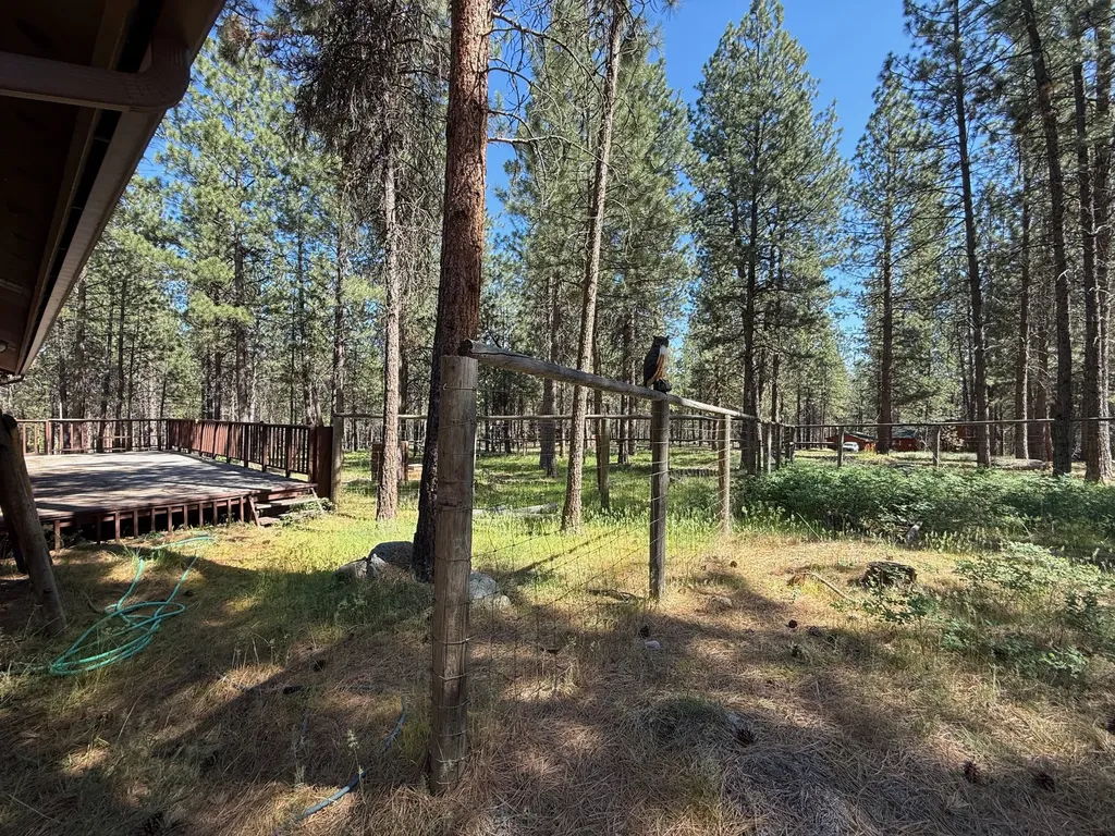 271 Wyant Lane Hamilton MT 59840