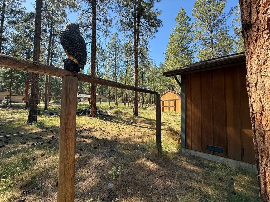 271 Wyant Lane Hamilton MT 59840